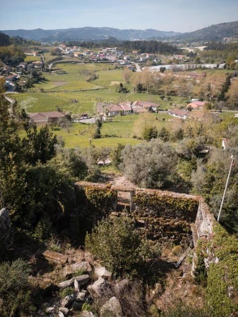 Quinta T0 para Venda em Calvos e Frades
