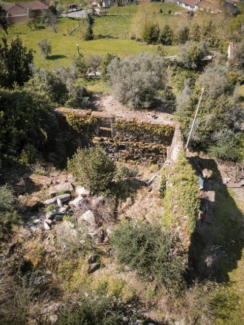 Quinta T0 para Venda em Calvos e Frades