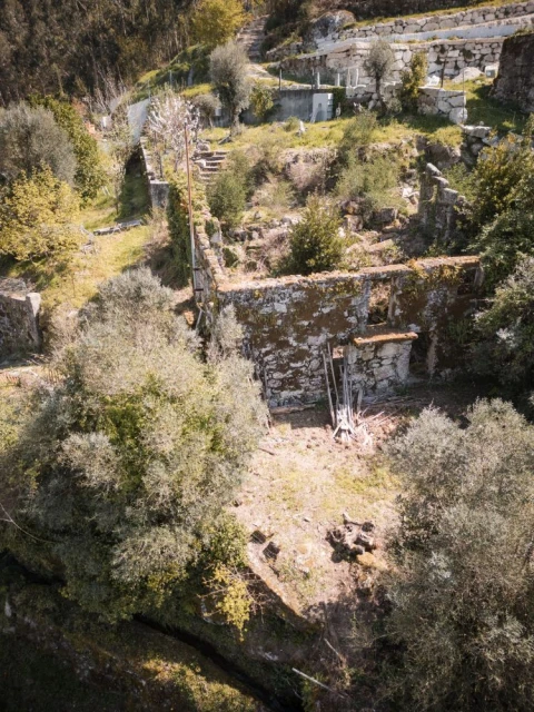 Quinta T0 para Venda em Calvos e Frades