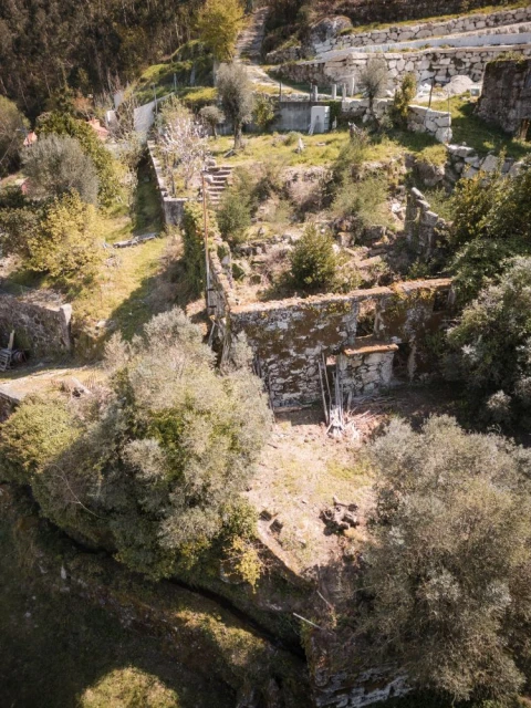 Quinta T0 para Venda em Calvos e Frades