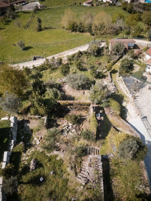 Quinta T0 para Venda em Calvos e Frades