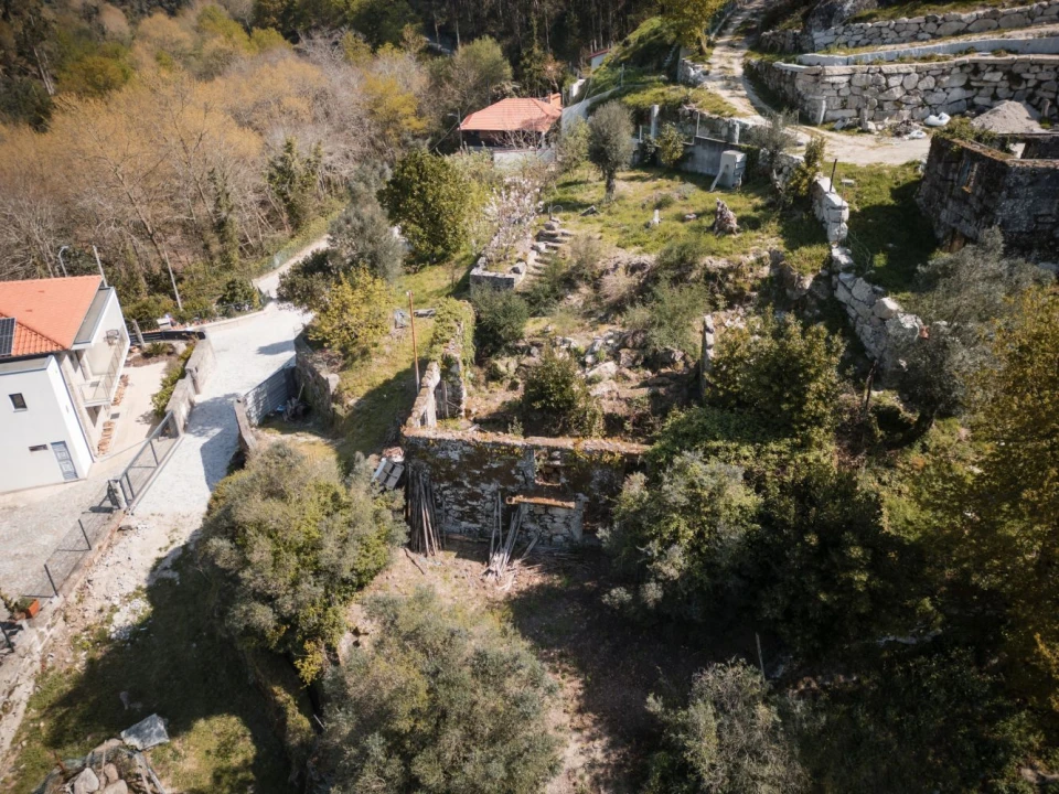 Quinta T0 para Venda em Calvos e Frades Foto 21