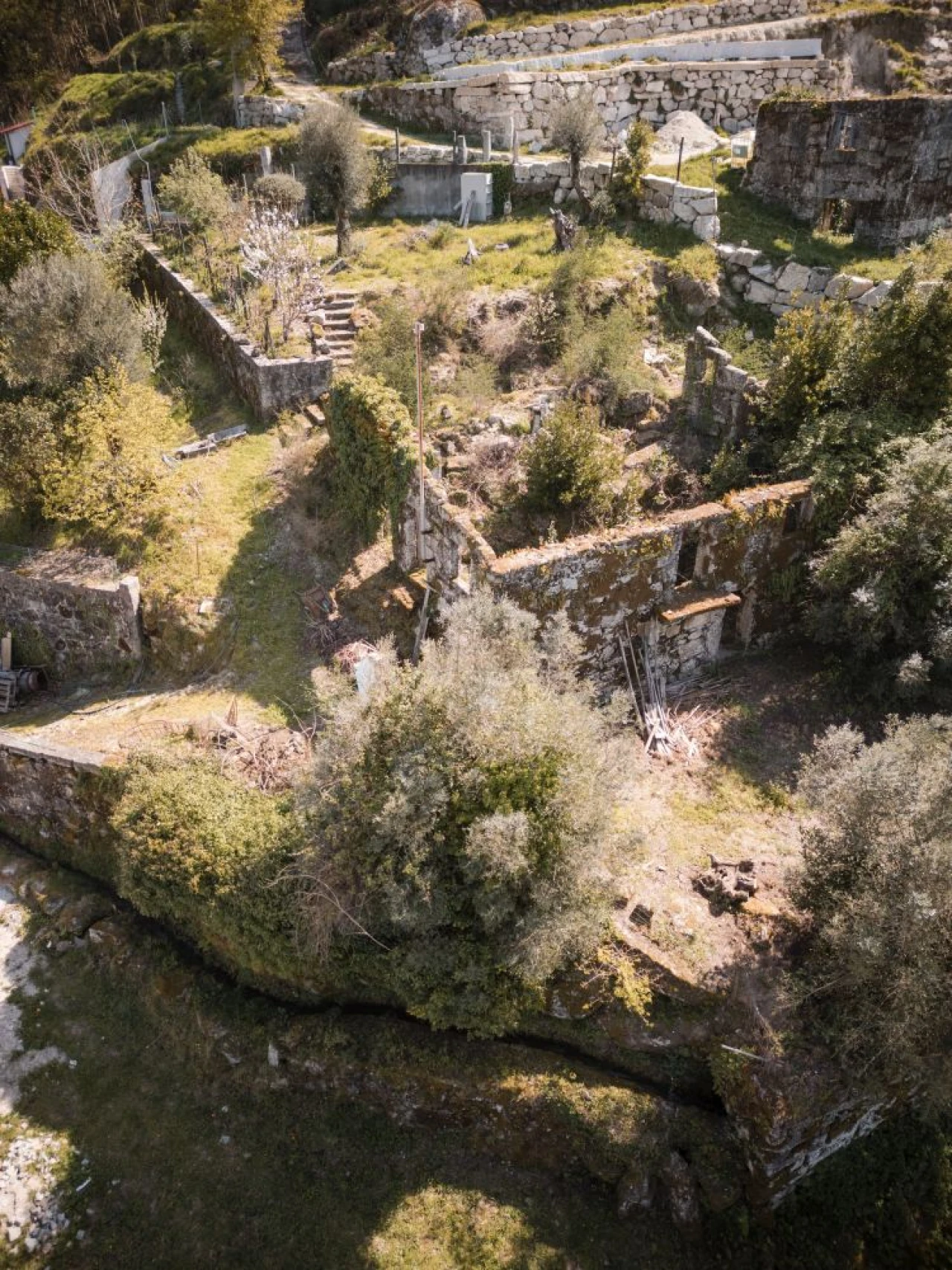 Quinta T0 para Venda em Calvos e Frades Foto 15