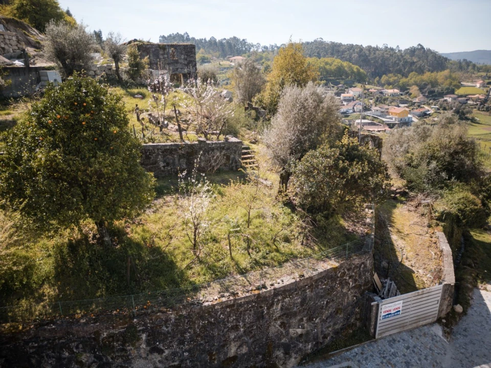 Quinta T0 para Venda em Calvos e Frades Foto 3