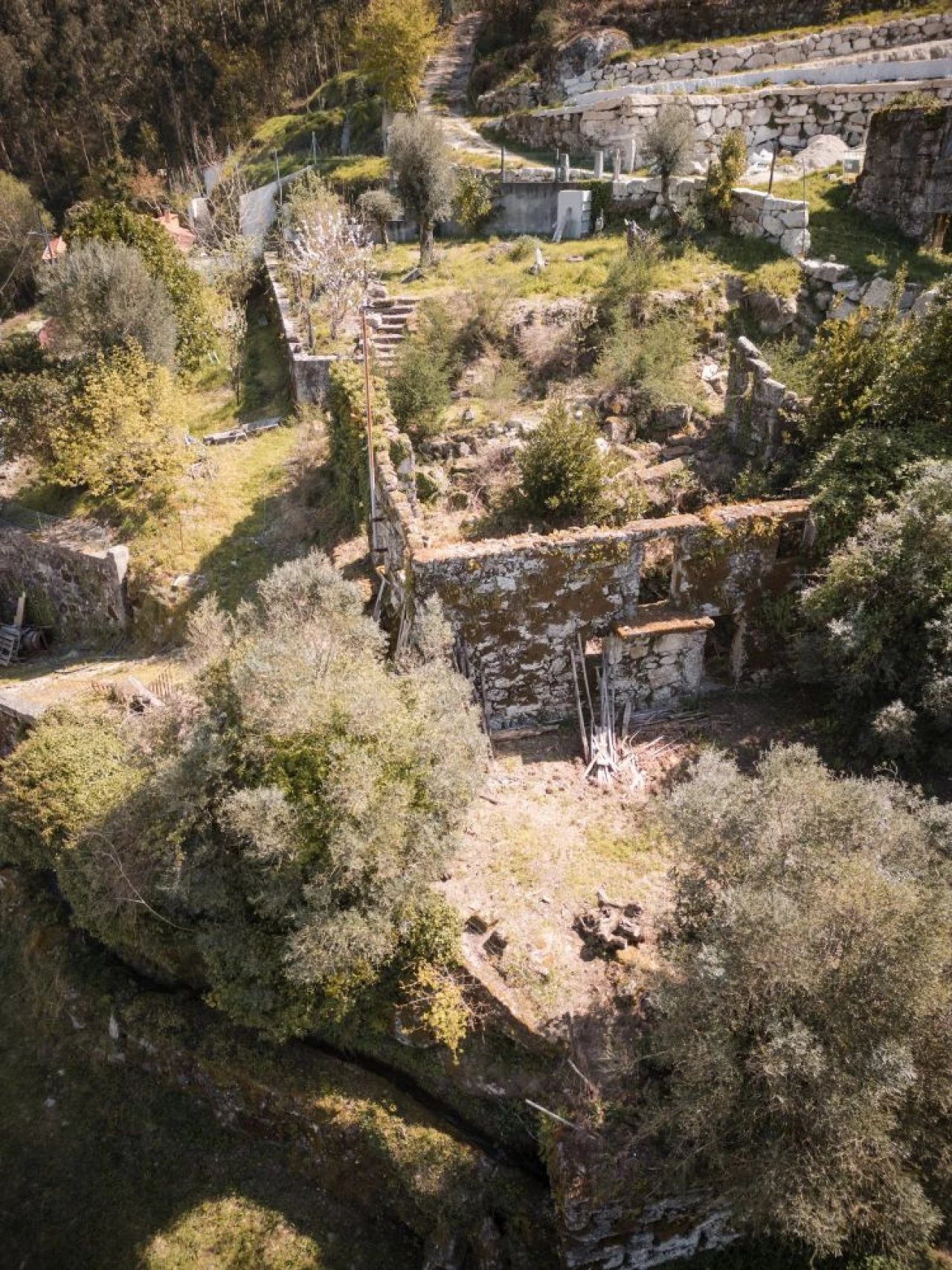 Quinta T0 para Venda em Calvos e Frades Foto 14