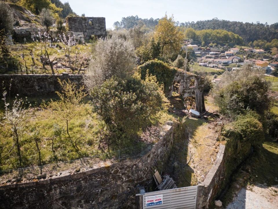 Quinta T0 para Venda em Calvos e Frades Foto 5