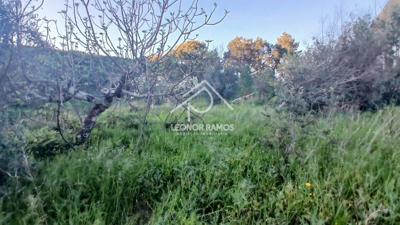 Moradia T2 para Venda em Proença-A-Nova e Peral Foto 32