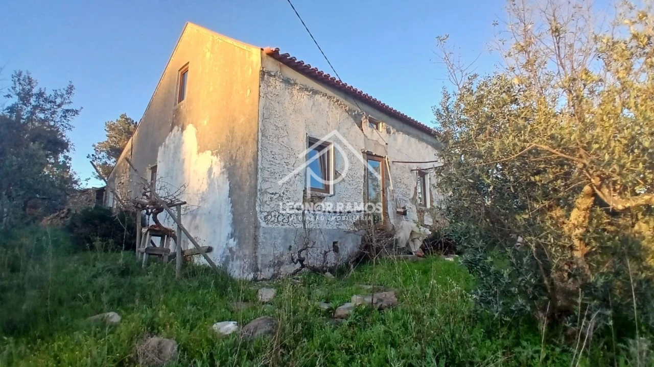 Moradia T2 para Venda em Proença-A-Nova e Peral Foto 40