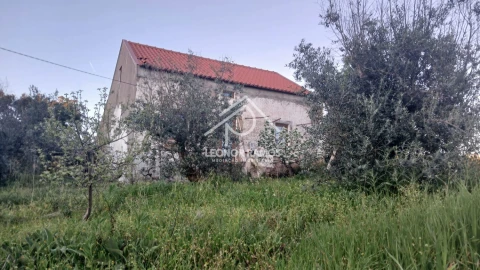 Moradia T2 para Venda em Proença-A-Nova e Peral