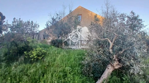 Moradia T2 para Venda em Proença-A-Nova e Peral