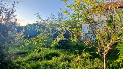 Moradia T2 para Venda em Proença-A-Nova e Peral