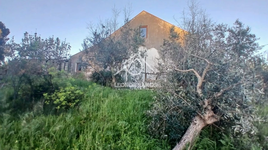 Moradia T2 para Venda em Proença-A-Nova e Peral Foto 36