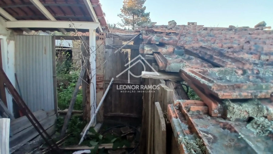 Moradia T2 para Venda em Proença-A-Nova e Peral Foto 13