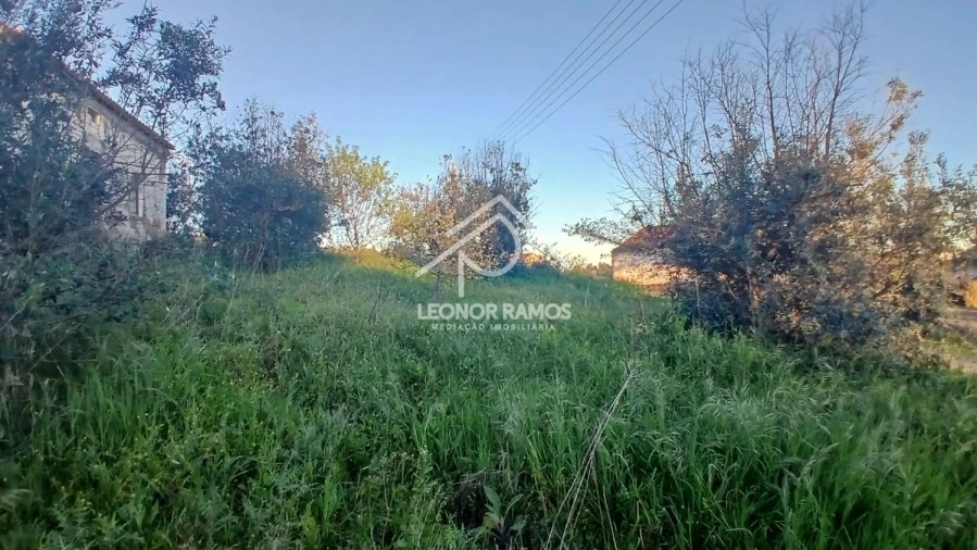 Moradia T2 para Venda em Proença-A-Nova e Peral Foto 33