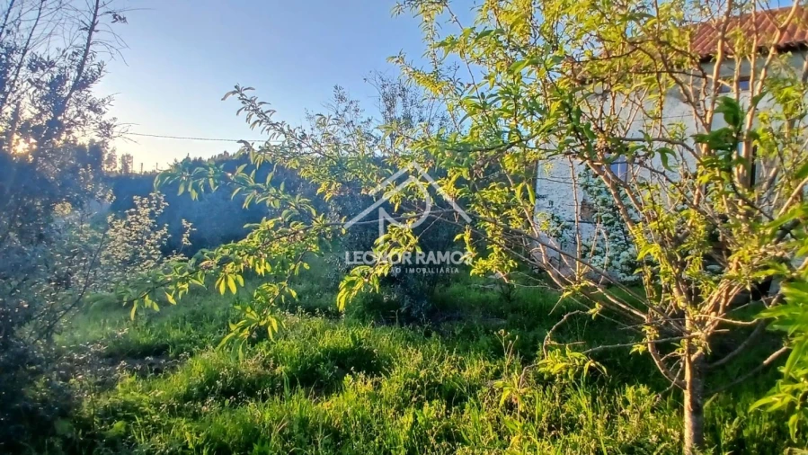 Moradia T2 para Venda em Proença-A-Nova e Peral Foto 41