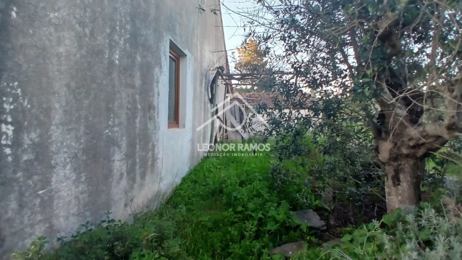 Moradia T2 para Venda em Proença-A-Nova e Peral Foto 14