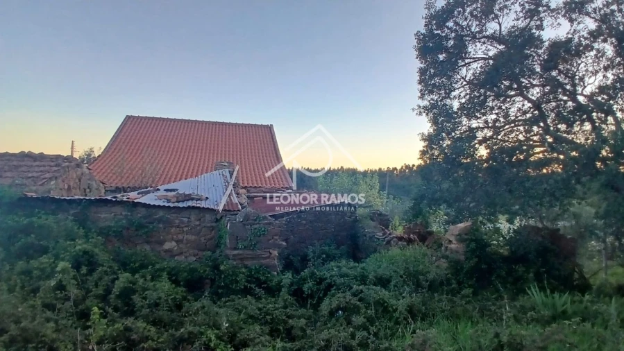 Moradia T2 para Venda em Proença-A-Nova e Peral Foto 11