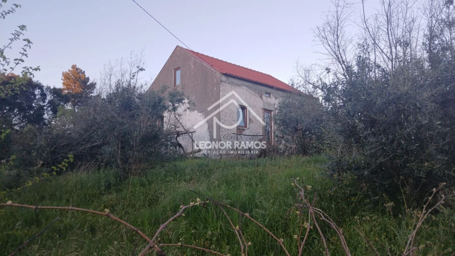 Moradia T2 para Venda em Proença-A-Nova e Peral Foto 3