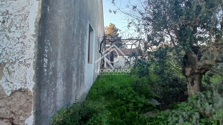 Moradia T2 para Venda em Proença-A-Nova e Peral Foto 15