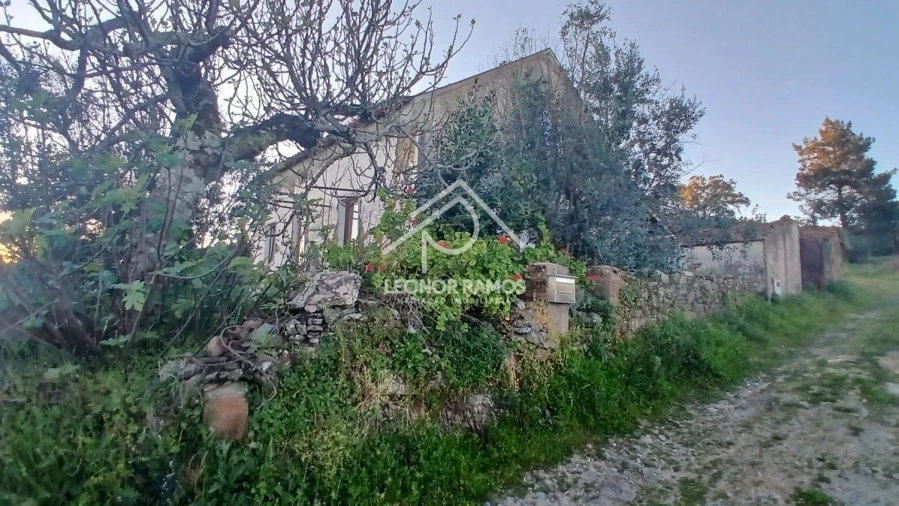 Moradia T2 para Venda em Proença-A-Nova e Peral Foto 8