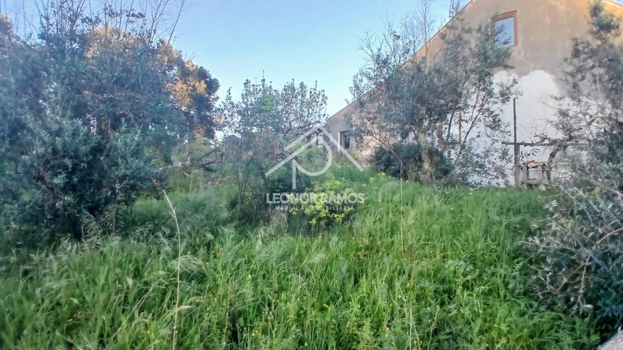 Moradia T2 para Venda em Proença-A-Nova e Peral Foto 30