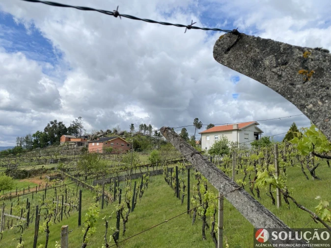Terreno para Venda em Resende Foto 4