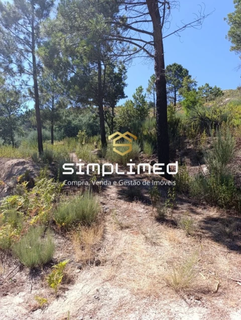 Terreno para Venda em Orjais