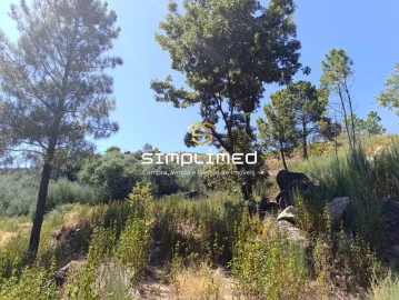 Terreno para Venda em Orjais