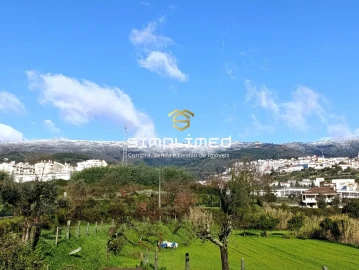 Terreno para Venda em Orjais