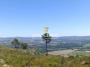 Terreno para Venda em Orjais