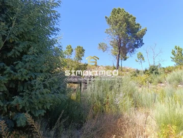 Terreno para Venda em Orjais