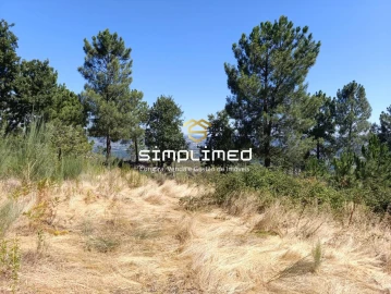 Terreno para Venda em Orjais