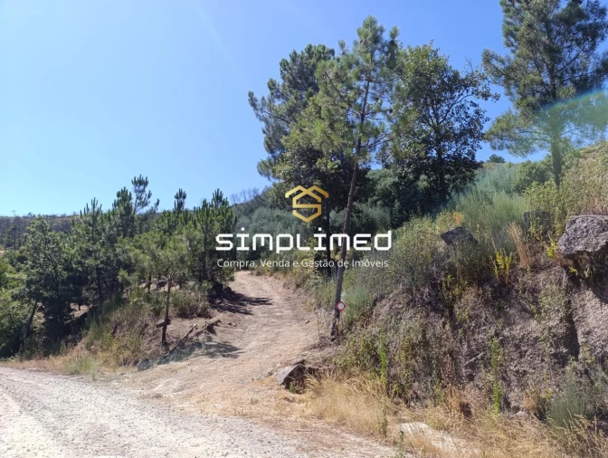 Terreno para Venda em Orjais Foto 14