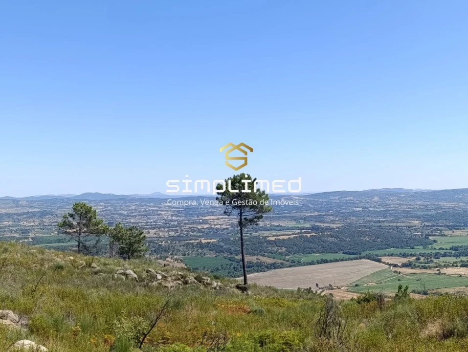 Terreno para Venda em Orjais Foto 7