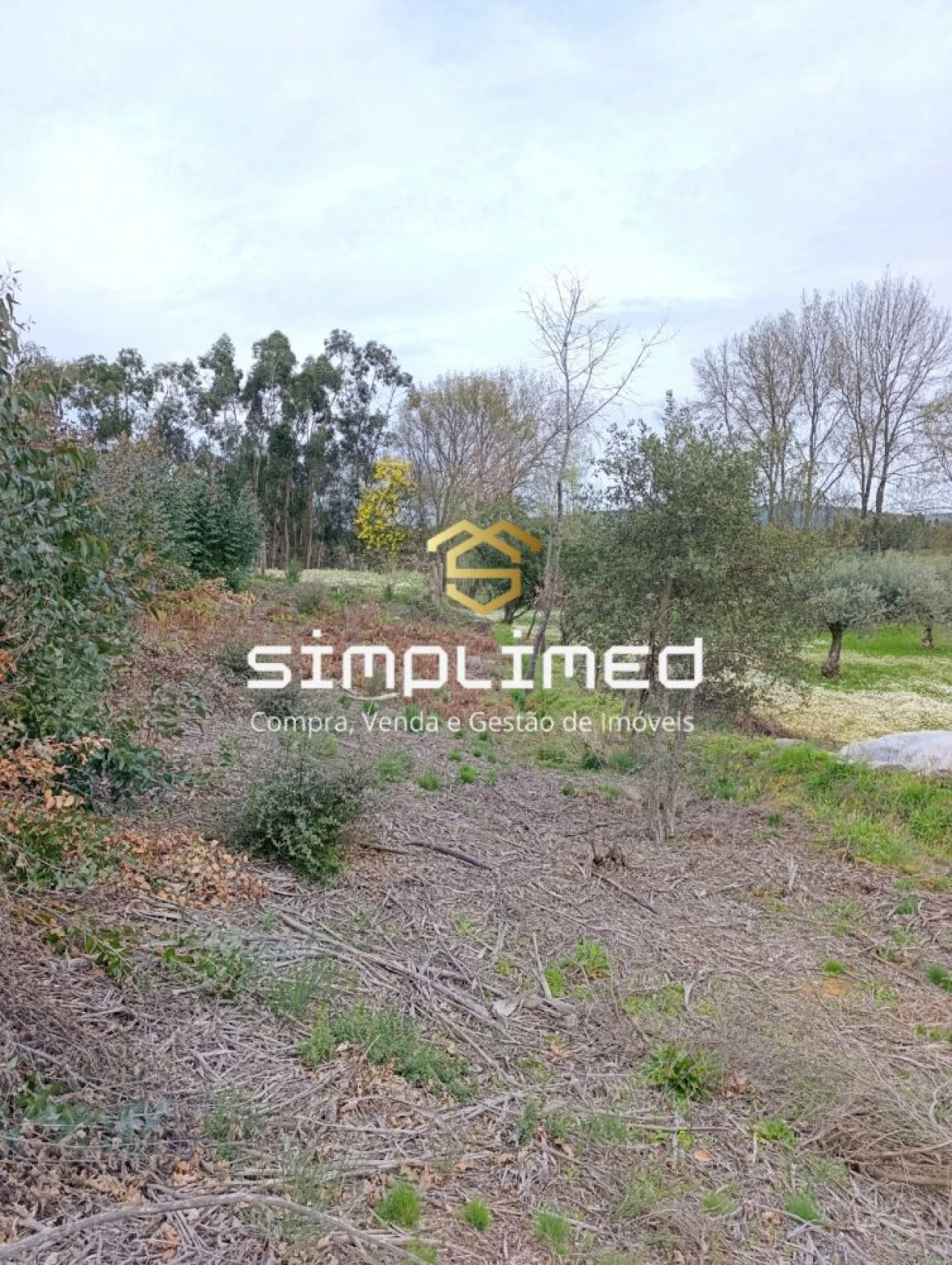 Terreno para Venda em Enxames Foto 22