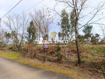Terreno para Venda em Enxames