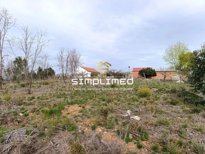 Terreno para Venda em Enxames Foto 9