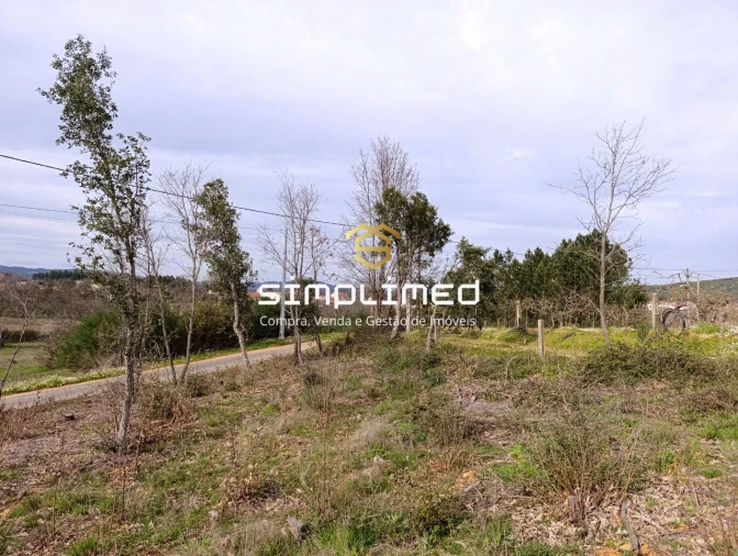 Terreno para Venda em Enxames Foto 7