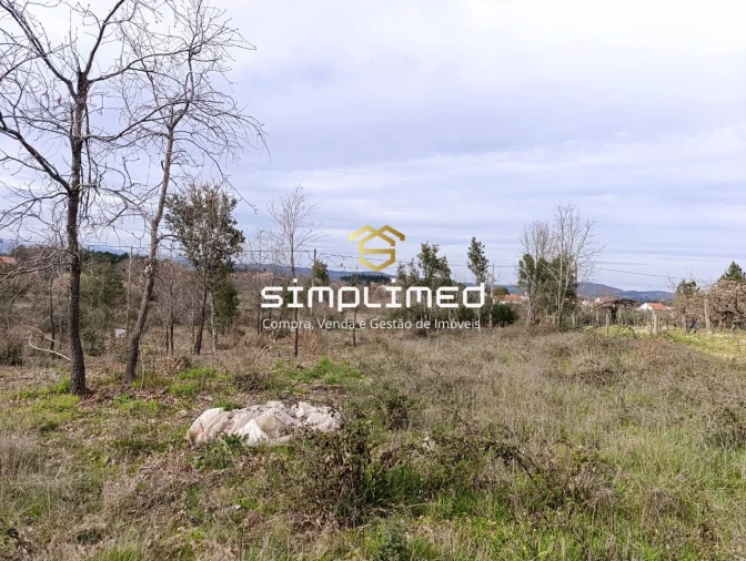 Terreno para Venda em Enxames Foto 18