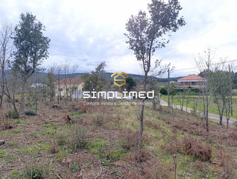 Terreno para Venda em Enxames Foto 10