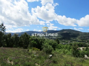 Terreno para Venda em Teixoso e Sarzedo