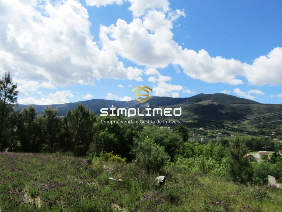 Terreno para Venda em Teixoso e Sarzedo Foto 25