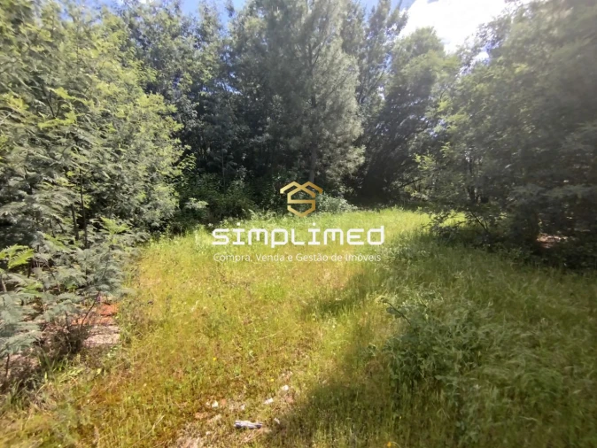 Terreno para Venda em Teixoso e Sarzedo Foto 18