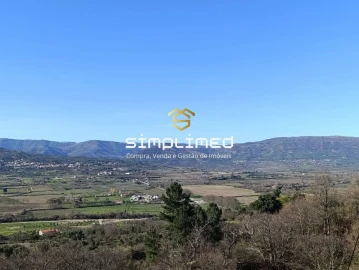 Terreno para Venda em Belmonte e Colmeal da Torre