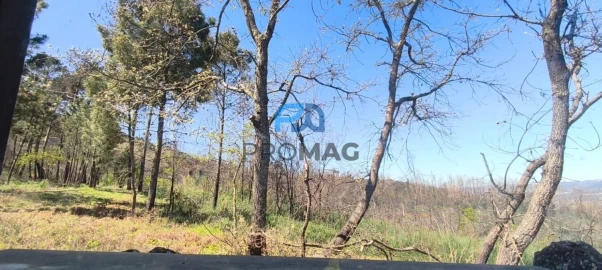 Quinta T2 para Venda em Resende