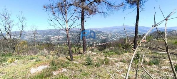 Quinta T2 para Venda em Resende