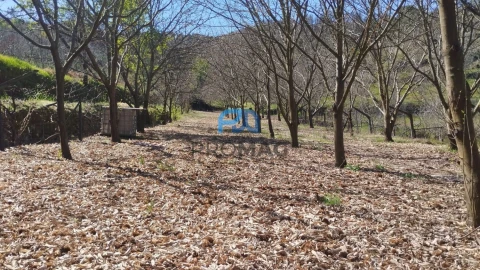 Quinta T2 para Venda em Resende