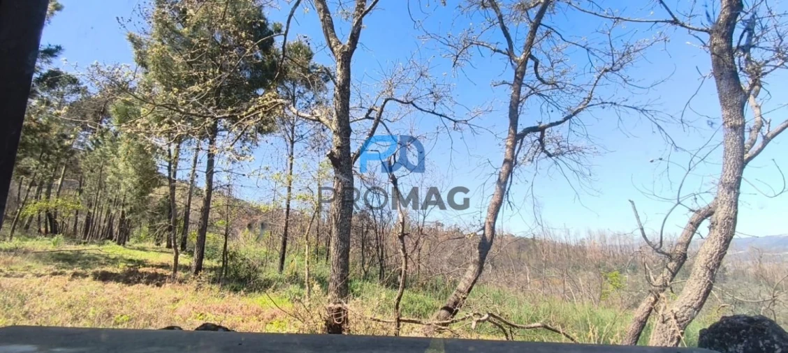 Quinta T2 para Venda em Resende Foto 48