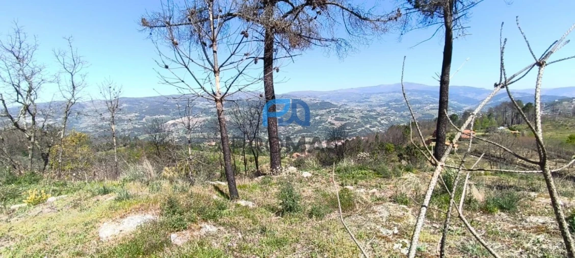 Quinta T2 para Venda em Resende Foto 55