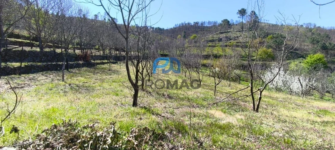 Quinta T2 para Venda em Resende Foto 43